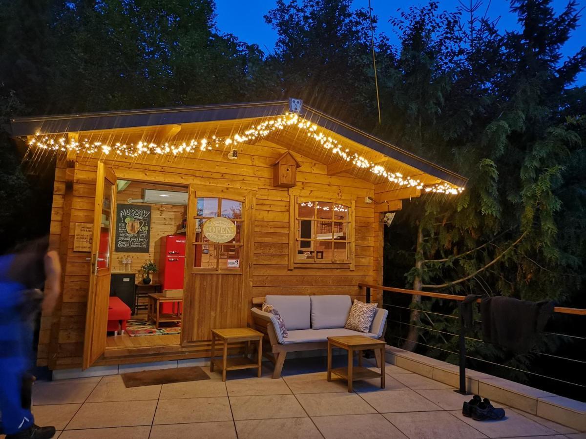 diemelseeholiday Ferienwohnung im Sauerland Nähe Willingen Winterberg Exterior foto
