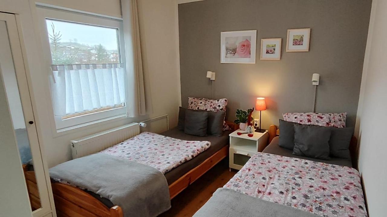 diemelseeholiday Ferienwohnung im Sauerland Nähe Willingen Winterberg Exterior foto